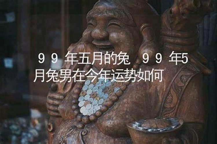 测自己99属兔今年运势