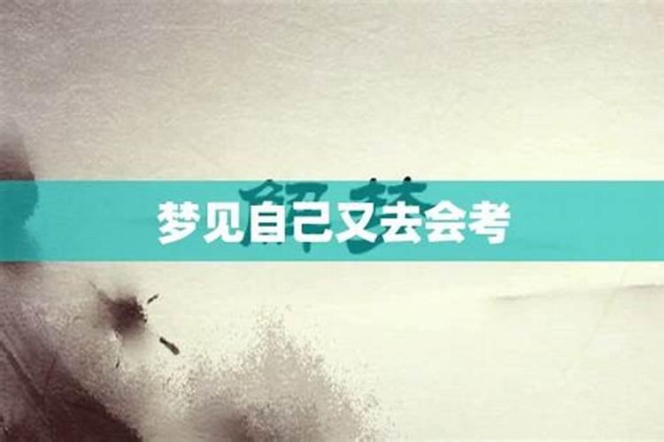 生肖虎的运气怎么样