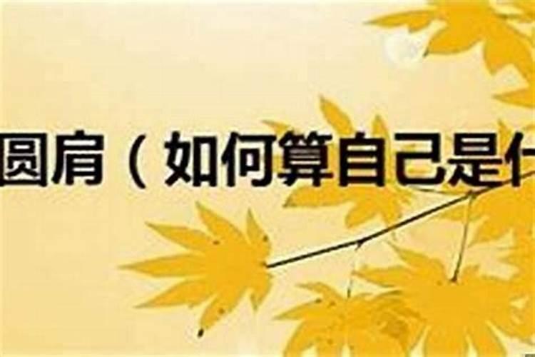 本命年牛应该注意什么属相的人