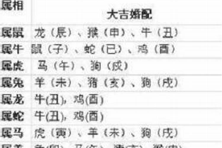 42岁男与多少岁兔合婚