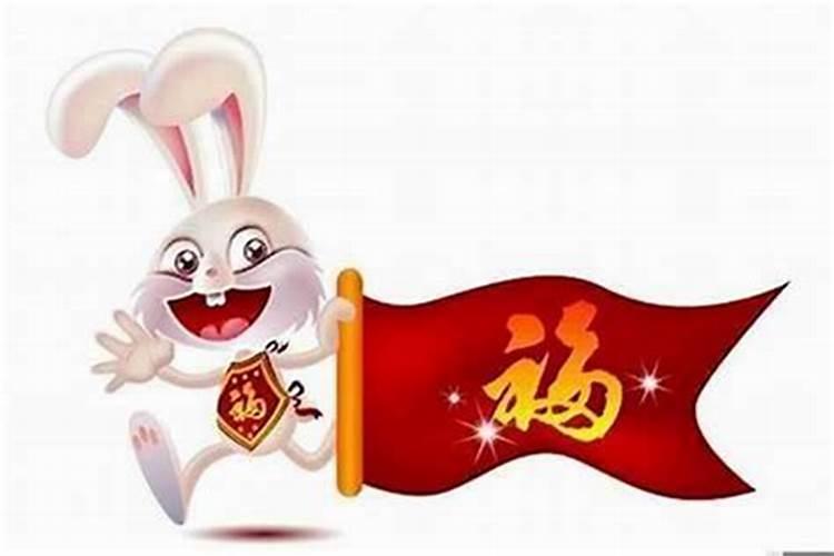 属兔的今年什么运势