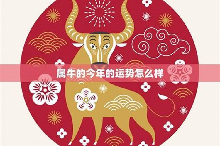 属牛的今年5月份运势如何