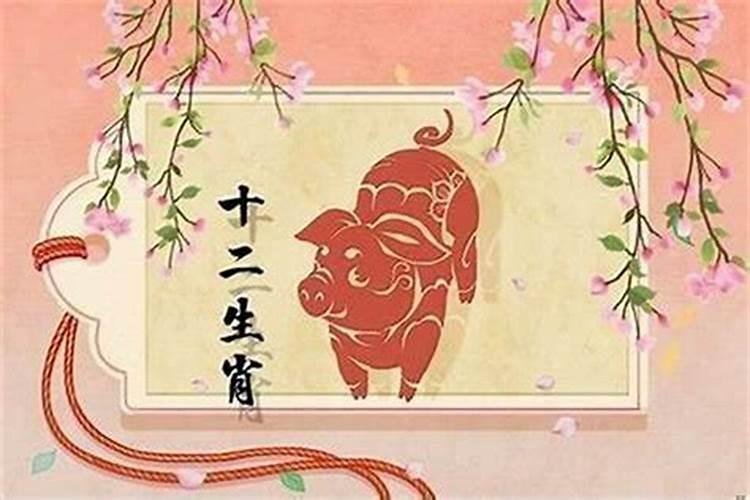 属猪今年下半年运势