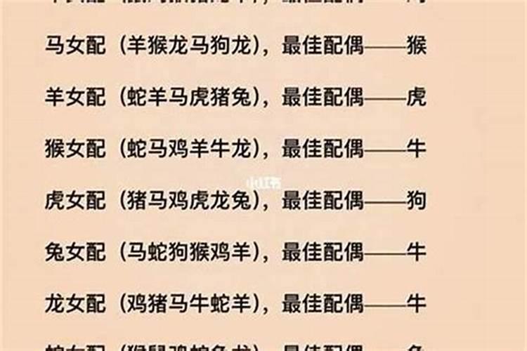 30岁属什么生肖的婚姻搭配