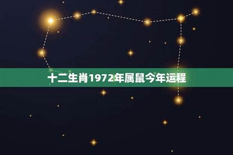 81年属鸡男2024年运势及运程女命