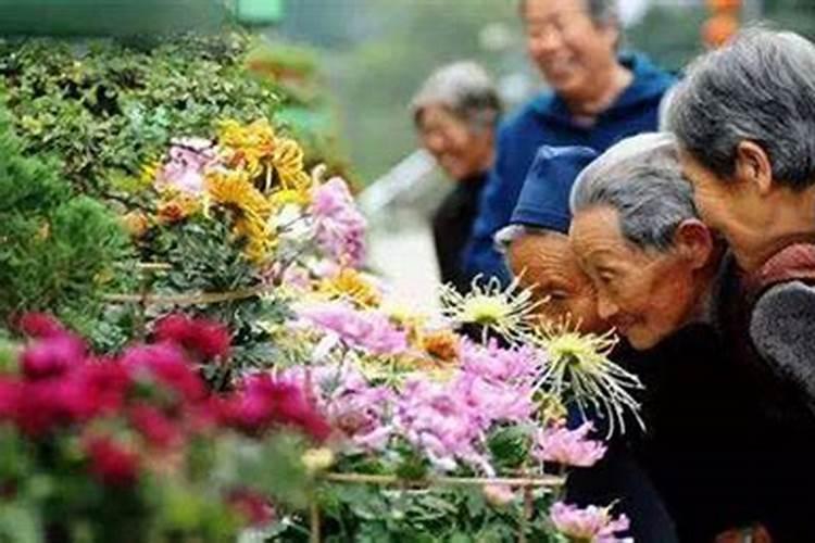 重阳节习俗河南