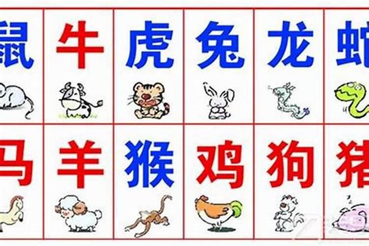 担心八字生肖不合