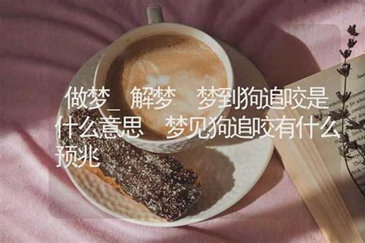 梦到狗追着我咬什么意思