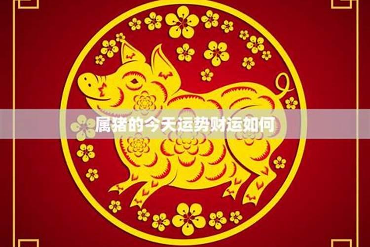 属猪的今年农历九月运程如何