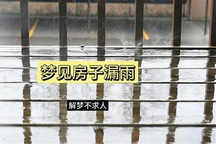 梦到房子漏雨水是什么预兆