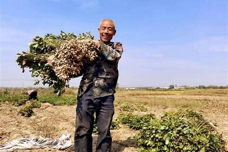 梦见仇人和我在一起