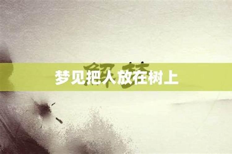 梦见邻居在树林里放下一个包