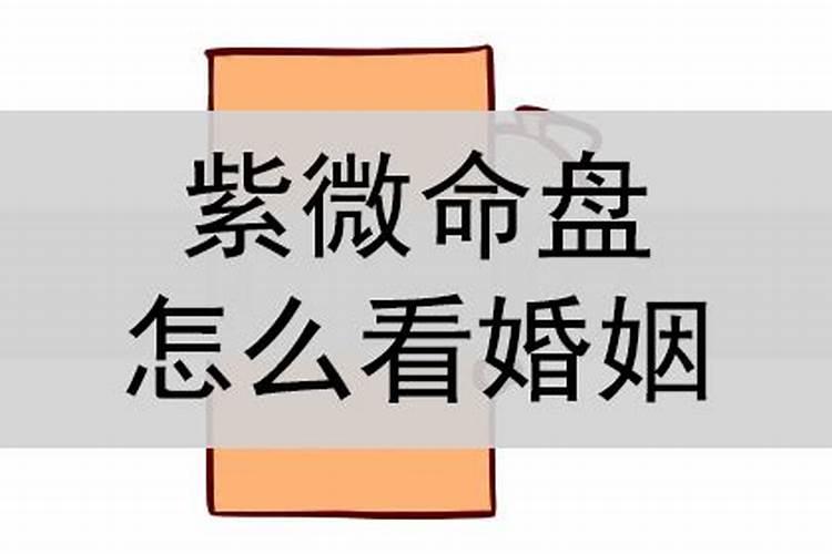 怀孕梦到好多黄鳝是什么意思啊