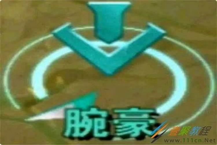 批八字中的命犯大豪小豪是什么意思