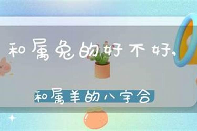 属羊和属兔八字不合