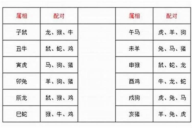 同床异梦是什么生肖