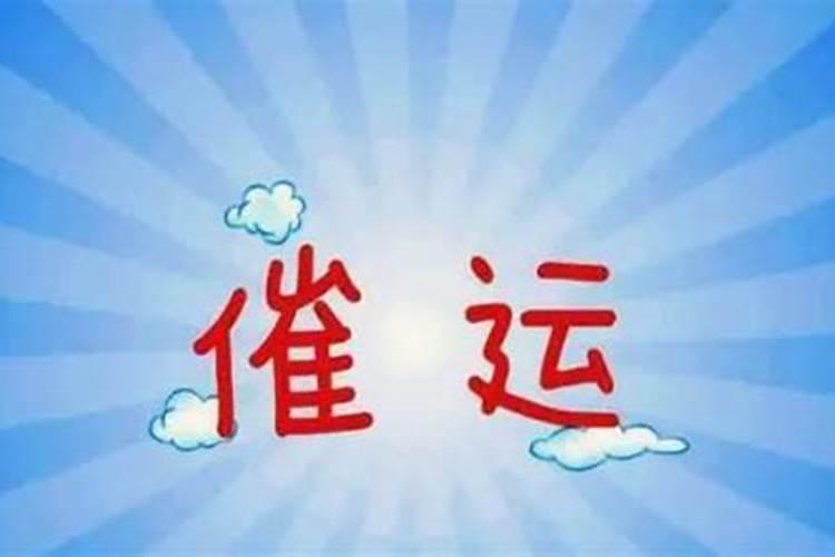 这鸡年运气很差为什么