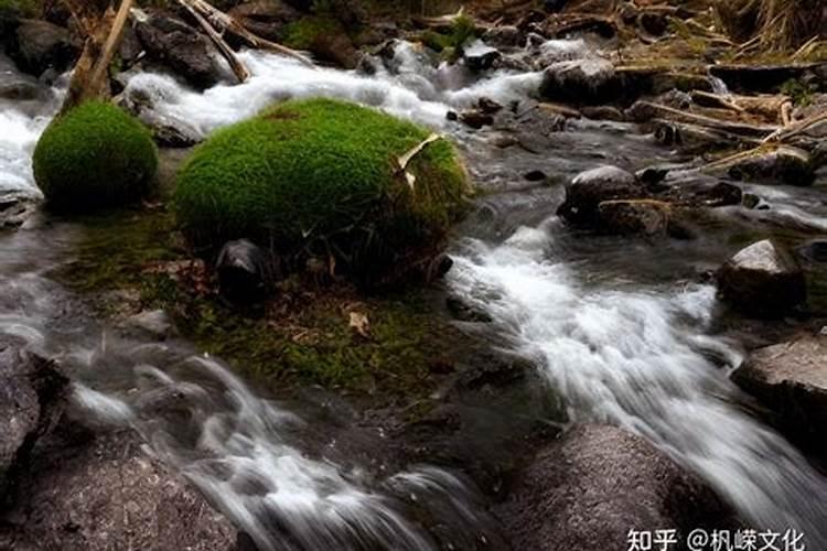 怀孕做梦梦到一条大白蛇