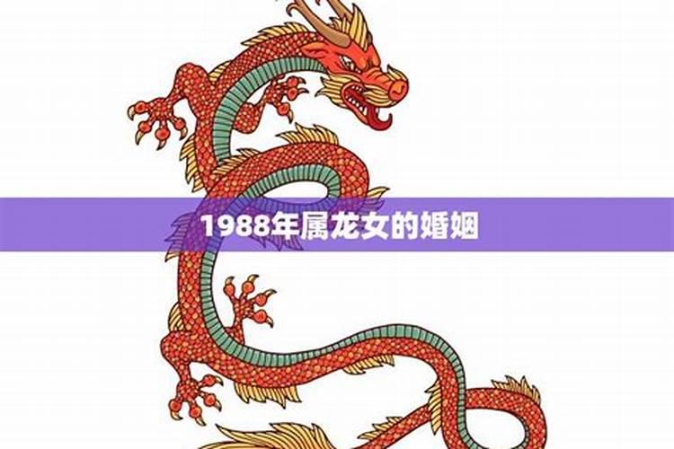 1988年属龙女是什么命格