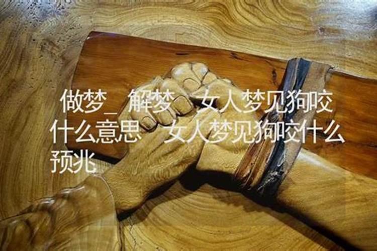 梦到死去的狗什么意思啊解梦