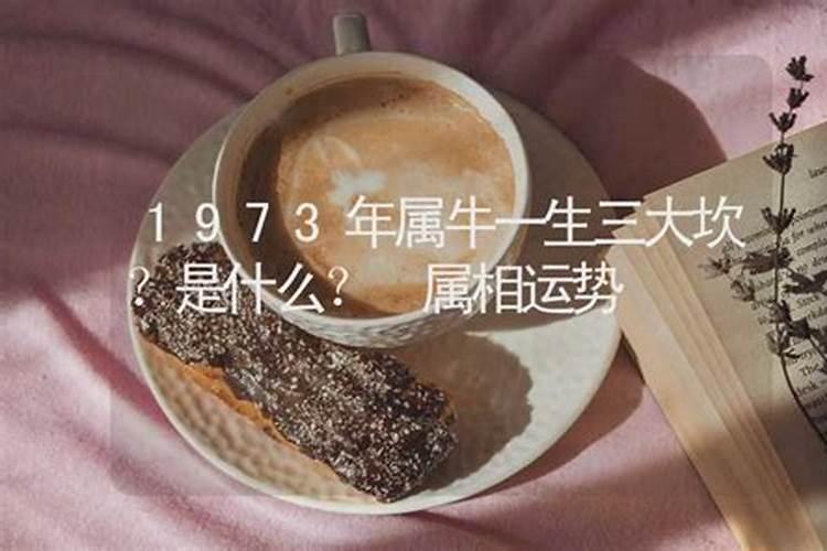 1973年属牛一生三大坎