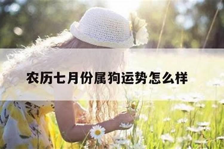 属狗阴历7月出生运势