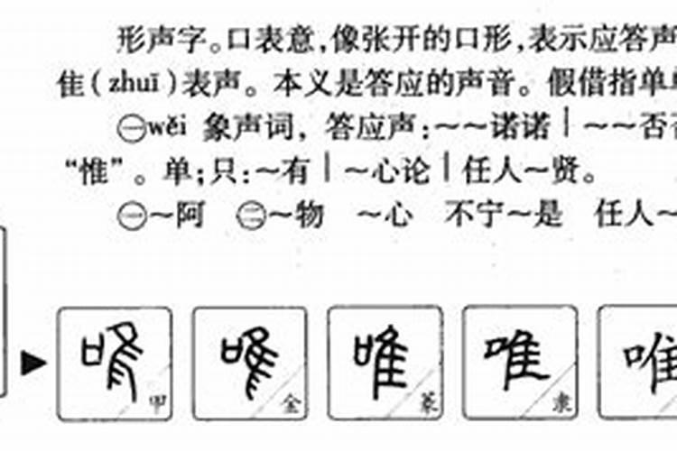 唯字五行属什么