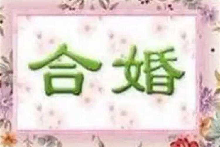 如何看合婚八字