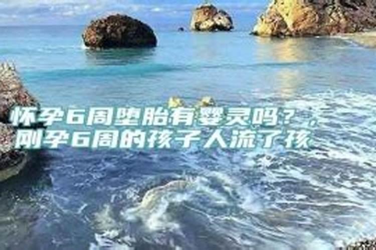 酉时生肖属什么