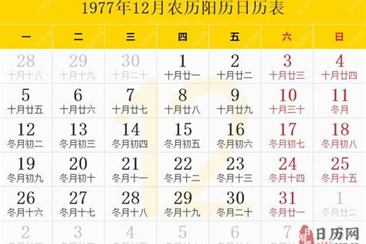 1990年农历九月初九出生人的命运