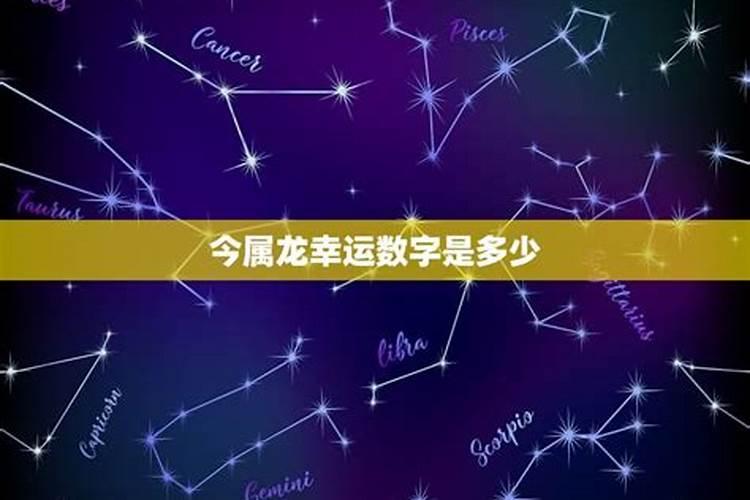 属龙今天幸运数字