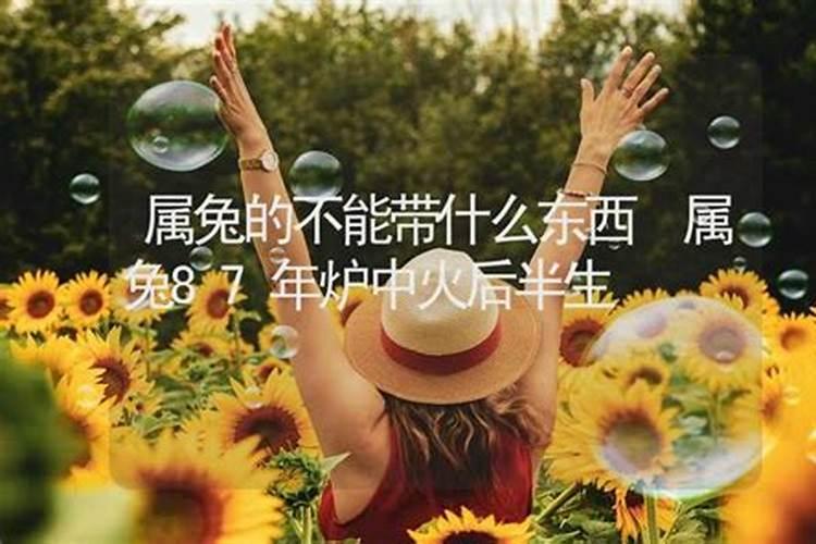 2024兔年犯太岁的四个属相