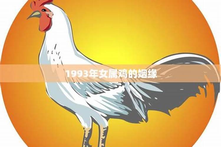 1993年属鸡的姻缘什么时候到