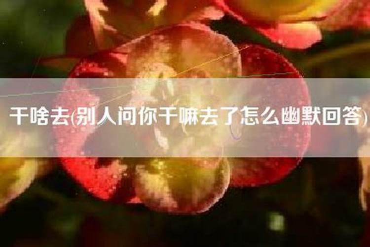 别人问生辰八字怎么幽默回答