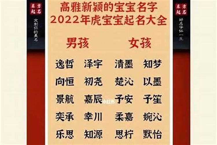 85年属虎在2024年运程