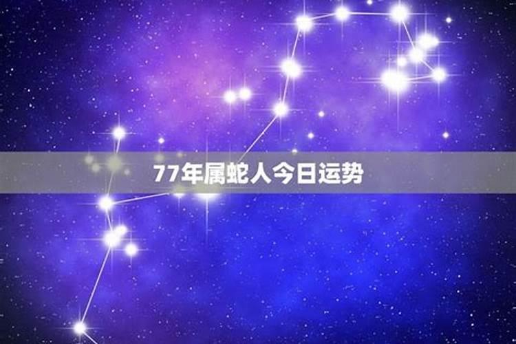 2019第24期今晚开什么生肖