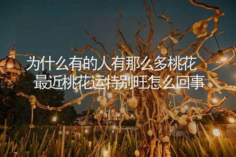 本命年桃花运特别旺