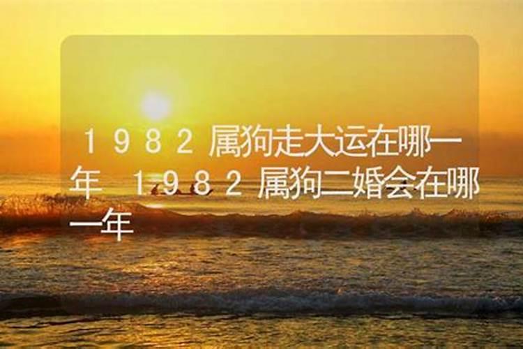 82年的狗和81年的鸡结婚命运怎么样