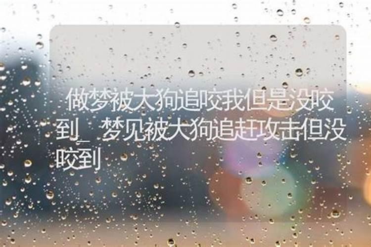 梦见大狗追赶是什么兆头