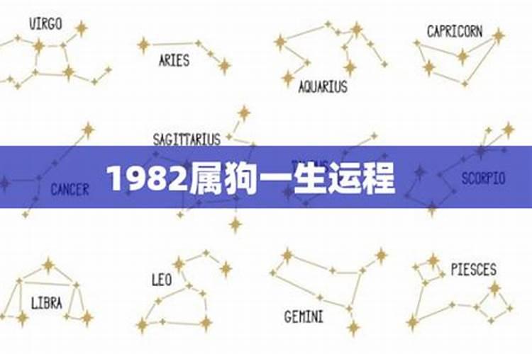 82年属狗的运程