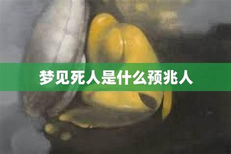 梦见死人和正常人一样