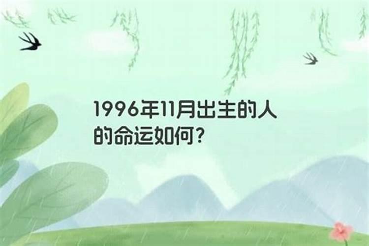 1996年11月出生的人运势