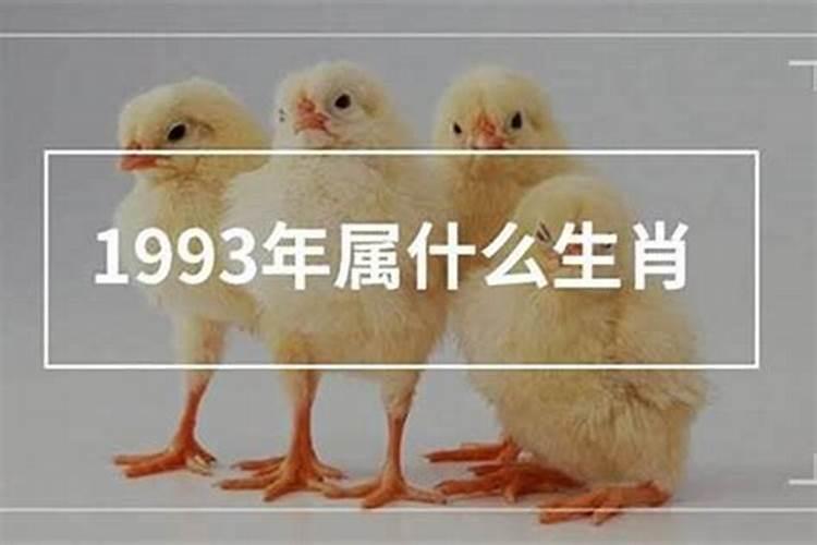 59岁属相属什么生肖