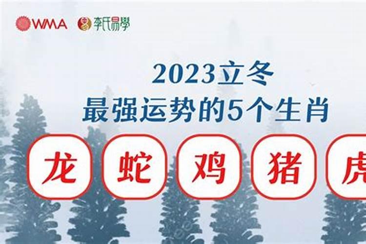 2023年立冬后运势