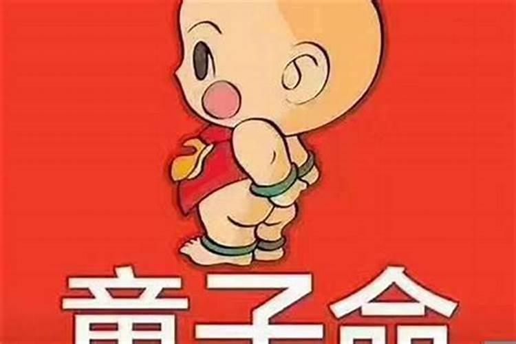 属猪和属牛2023结婚吉日