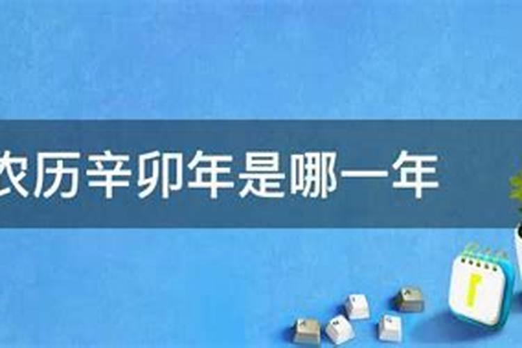 冬至习俗幼儿园小班