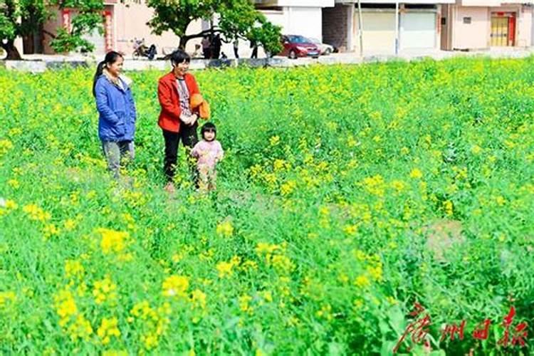 梦见家人失踪了是什么意思周公解梦