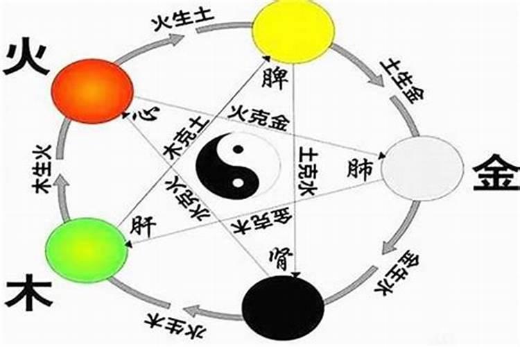 龟甲五行属什么