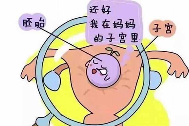 生肖蛇女的命运与运气分析