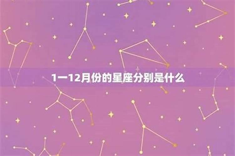 一月19日什么星座是什么